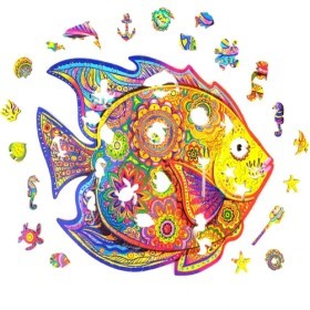  Colorful Fish 